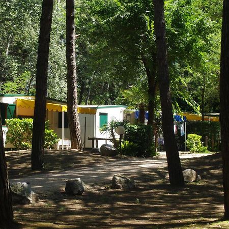 Holiday Center Valdor Cavallino-Treporti Dış mekan fotoğraf
